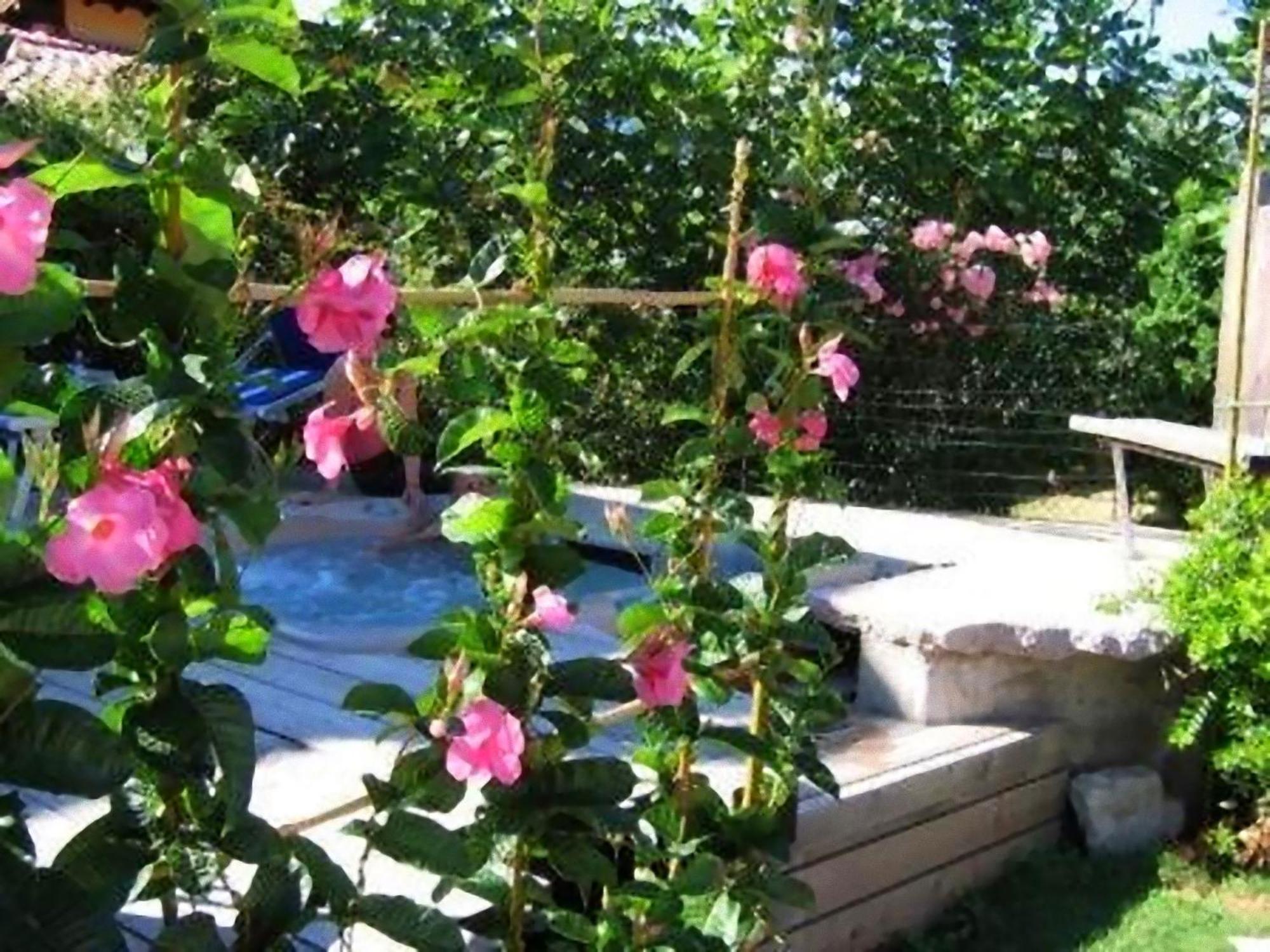 Hotel Luna Rossa (Adults Only) Malcesine Exterior foto