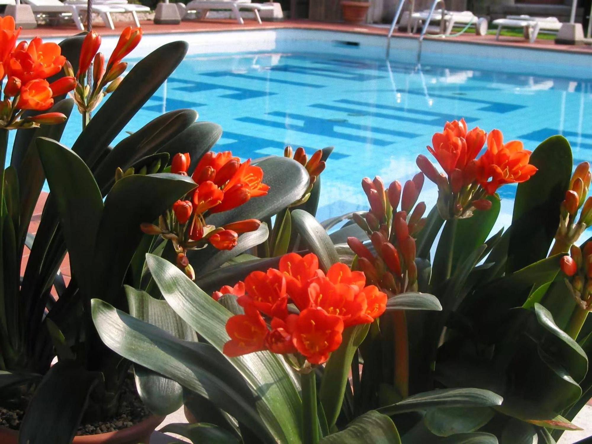 Hotel Luna Rossa (Adults Only) Malcesine Exterior foto